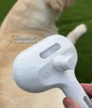 Self-Cleaning Pet Comb with Mist Spray